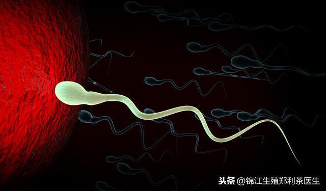 试管婴儿能做一个 试管婴儿能做一个