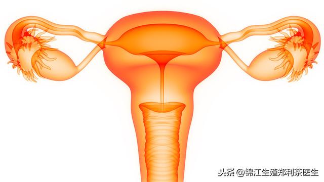试管婴儿能做一个信誉可靠的第三代试管婴儿