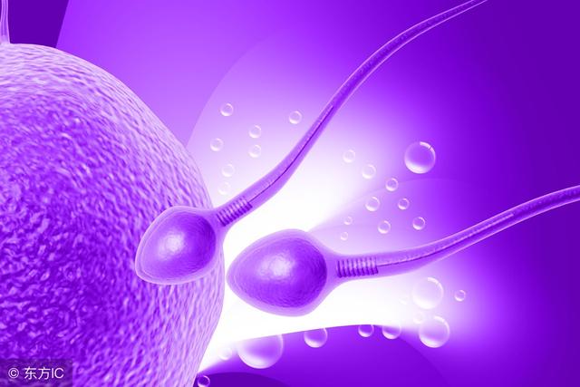 做试管婴儿取精子视频 做试管婴儿取精子视频