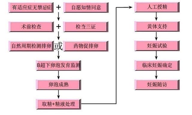 做试管婴儿的全部流程和费用(做试管婴儿需要住院吗)