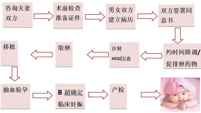 做试管婴儿的全部流程和费用
