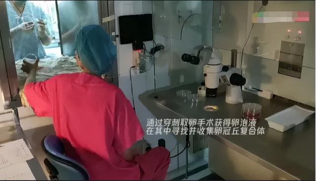 38岁试管婴儿经历 38岁试管婴儿经历