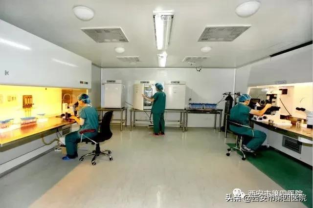 想要龙凤胎做试管婴儿 想要龙凤胎做试管婴儿