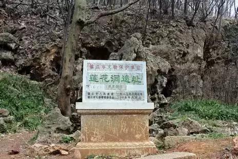 钏欧试管婴儿