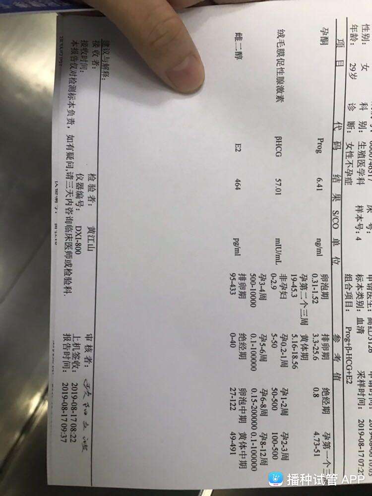 试管婴儿移植囊胚第1移植成功最明显的感觉
