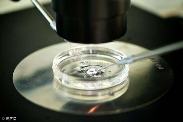 试管婴儿要做那些检查第一次做试管婴儿检查