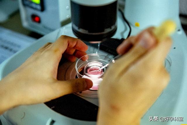 试管婴儿黄体酮试管黄体酮方案流程