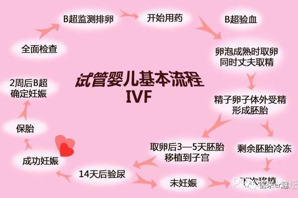 在线试管婴儿咨询