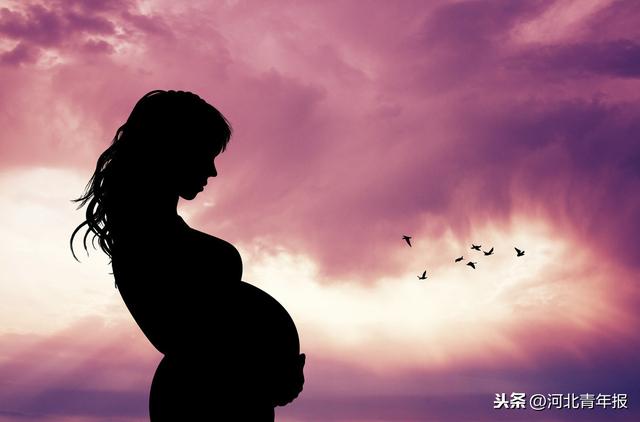 试管婴儿23天 试管婴儿23天
