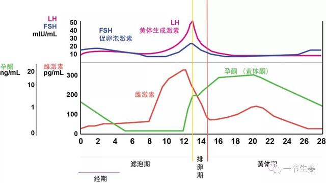 sx试管婴儿 sx试管婴儿
