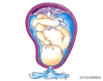 上海九院试管婴儿试管生男孩小秘密