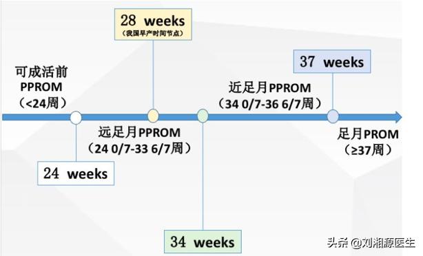 上海九院试管婴儿 上海九院试管婴儿