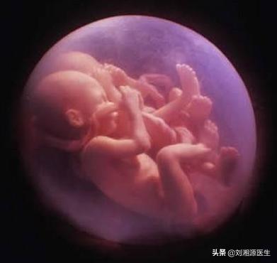 上海九院试管婴儿 上海九院试管婴儿