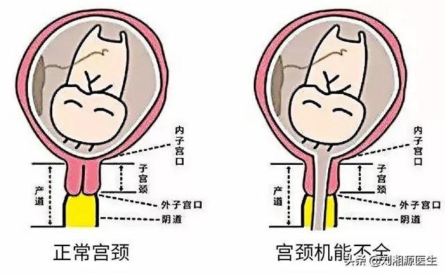 上海九院试管婴儿 上海九院试管婴儿