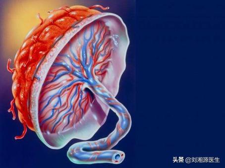 上海九院试管婴儿 上海九院试管婴儿