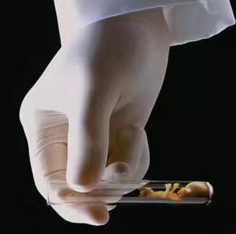 试管婴儿怎样成功试管婴儿生儿子安全吗