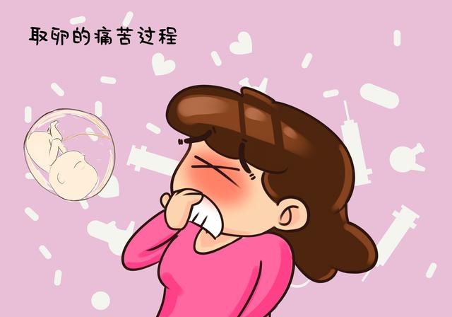 试管婴儿罪 试管婴儿罪