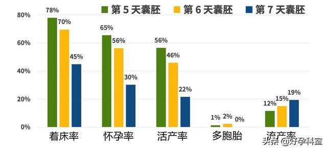 试管婴儿胚囊 试管婴儿胚囊