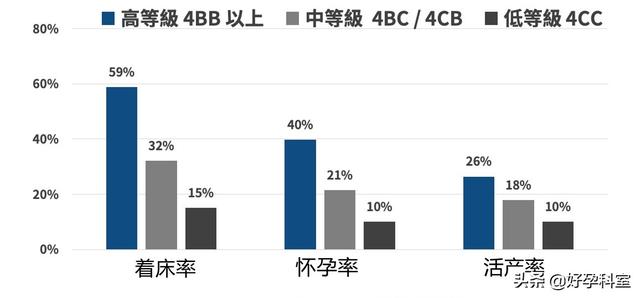 试管婴儿胚囊 试管婴儿胚囊
