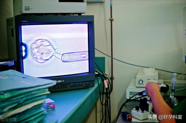 试管婴儿胚囊(试管婴儿胚胎到囊胚的概率)