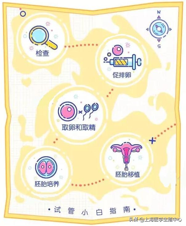 试管婴儿检查步骤 试管婴儿检查步骤