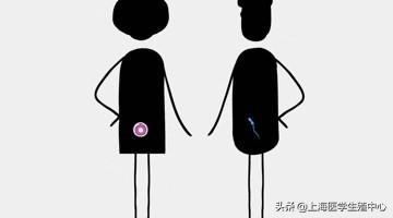试管婴儿检查步骤做试管前期检查流程