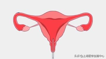 试管婴儿检查步骤 试管婴儿检查步骤
