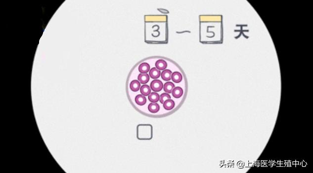试管婴儿检查步骤 试管婴儿检查步骤