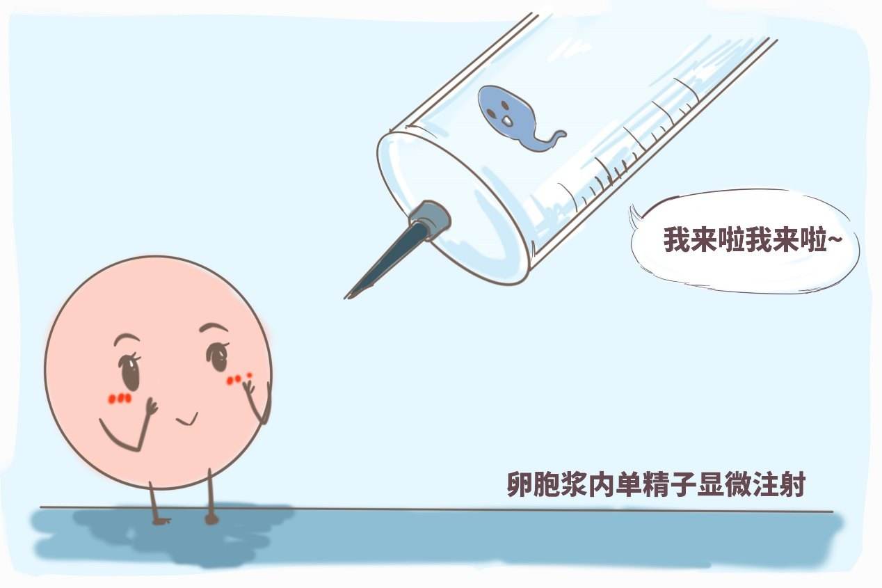 试管婴儿去哪家好中国哪里做试管婴儿好
