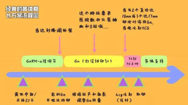 试管婴儿的长方案 试管婴儿的长方案