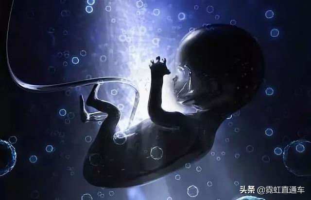 试管婴儿在目 试管婴儿在目