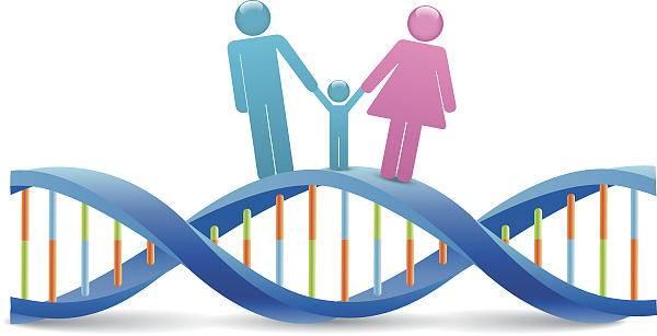 做试管婴儿要做染色体检查吗 做试管婴儿要做染色体检查吗