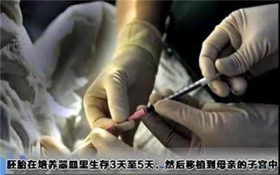 试管婴儿怎么生出来 试管婴儿怎么生出来