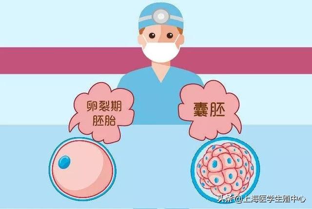 染色体异常试管婴儿 染色体异常试管婴儿