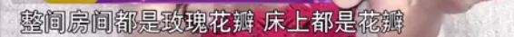 杨采妮是试管婴儿 杨采妮是试管婴儿