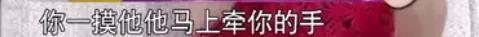 杨采妮是试管婴儿 杨采妮是试管婴儿