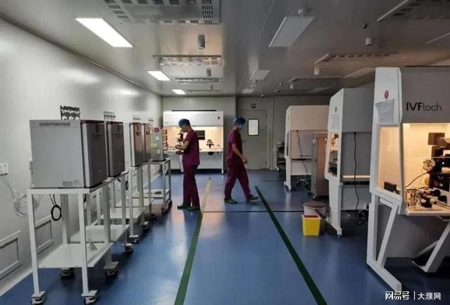 试管婴儿成功怀孕的 试管婴儿成功怀孕的
