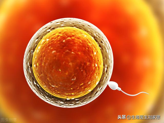 试管婴儿辅酶q10 试管婴儿辅酶q10