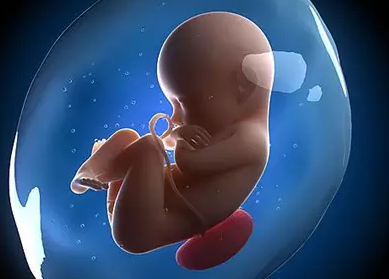 试管婴儿短方案试管婴儿方案种类和区别