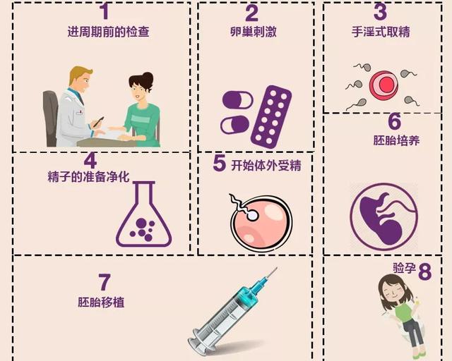 试管婴儿几个月 试管婴儿几个月