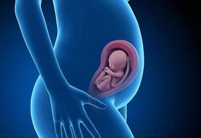 试管婴儿女性伤害试管对女性的伤害