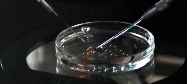 冷冻精子对试管婴儿 冷冻精子对试管婴儿