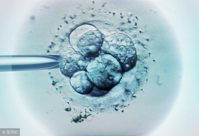 试管婴儿男性怎么取精子(想生男孩人工受孕最好)