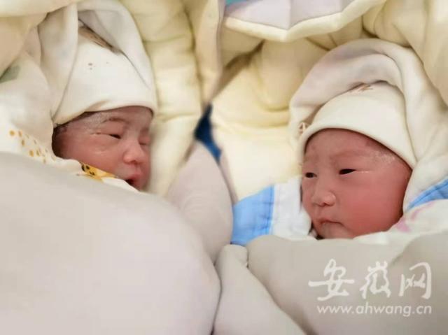 张静试管婴儿什么是试管婴儿