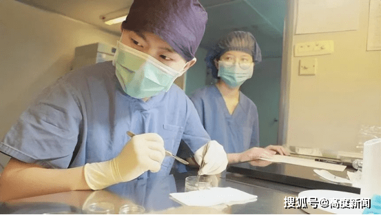 江西妇保试管婴儿(江西省妇幼保健院试管婴儿)