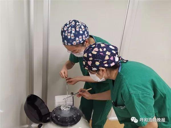 呼和浩特市试管婴儿 呼和浩特市试管婴儿