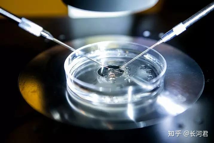 关于试管婴儿哪家做的最好的信息