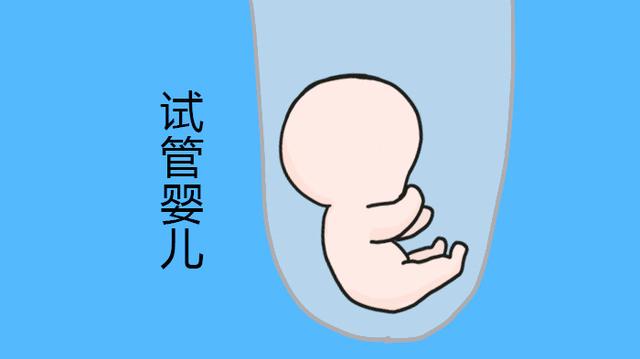 试管婴儿智商 试管婴儿智商