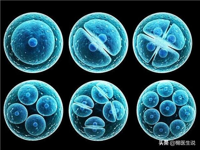 正常人做试管婴儿 正常人做试管婴儿