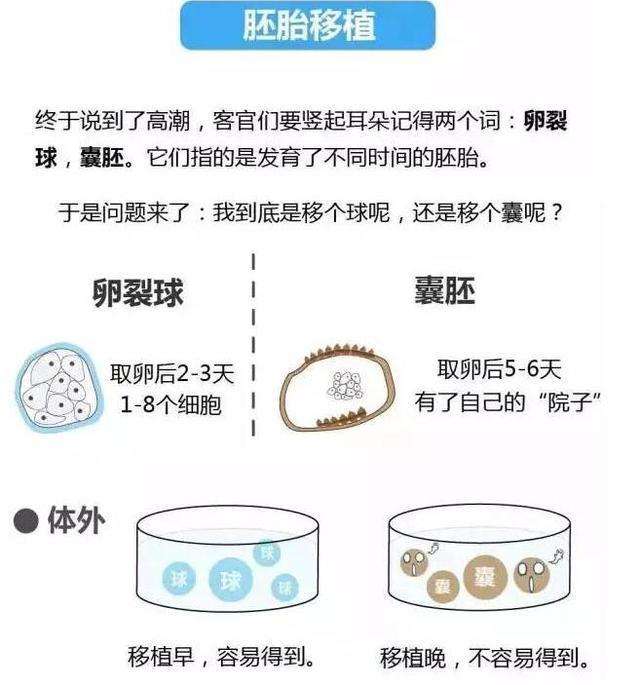 试管婴儿的发育生了试管婴儿后悔了